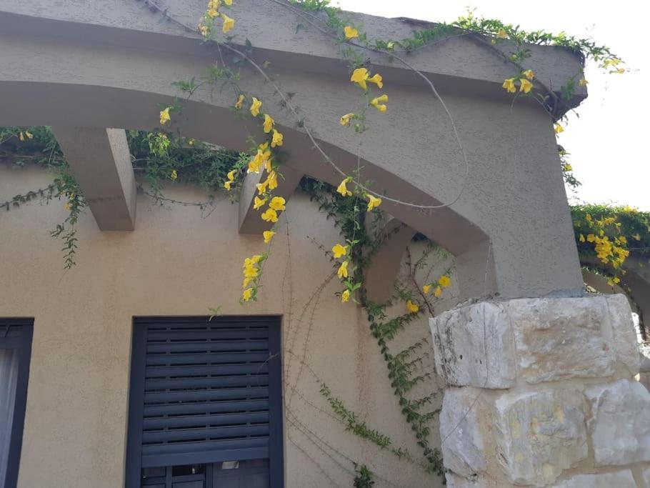 Hadar Rest & Relax Apartamento Kefar Hittim Exterior foto